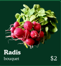 Radisi – Radis