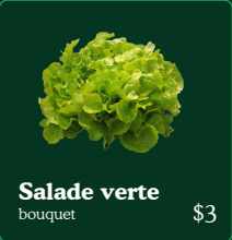 Salade ya vert – Salade verte