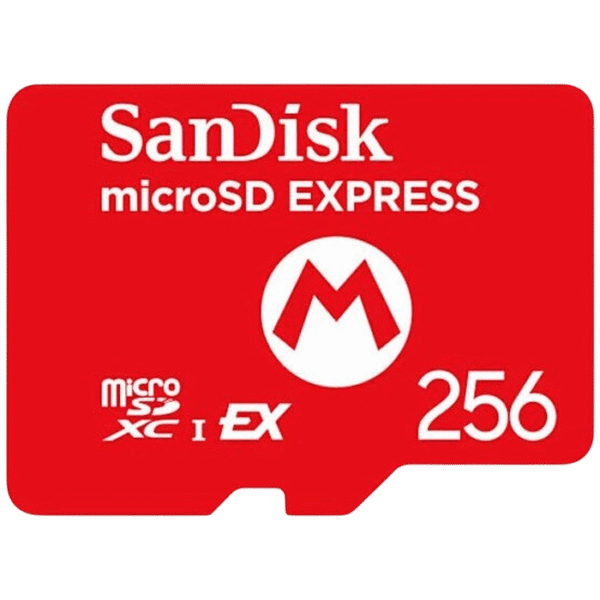 Carte microSD 256 Go pour Switch