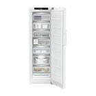Congélateur armoire vertical 200L
